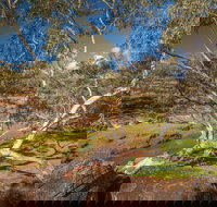 Mount Grenfell Historic Site - Accommodation Sydney