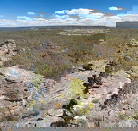 Munghorn Gap Nature Reserve - Accommodation Sydney