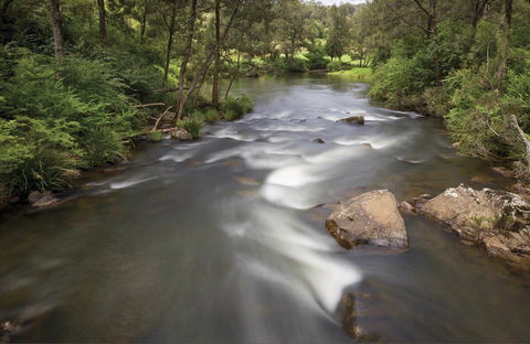 Nymboi-Binderay National Park - Sydney 4u 0