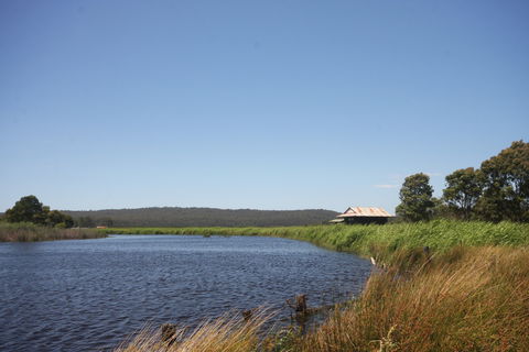 Panboola Wetlands - Sydney 4u 0