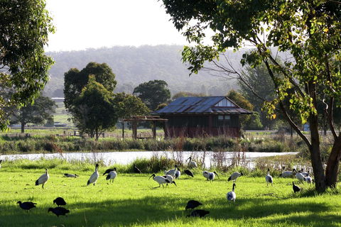 Panboola Wetlands - Sydney 4u 1