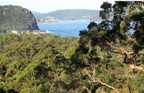 Patonga To Pearl Beach Walking Track - Sydney 4u 0