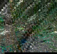 Pholis Gap Walking Track - Accommodation Sydney