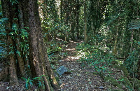 Pholis Gap Walking Track - Accommodation Sydney 0