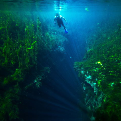 Piccaninnie Ponds Conservation Park - Accommodation Sydney 0