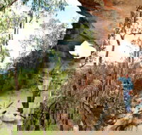 Pilliga Forest - Accommodation Sydney