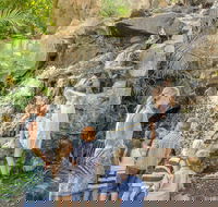 Queens Park Waterfall - Accommodation Sydney