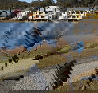 Sculpture Trail at Lake Crackenback Resort and Spa - Accommodation Sydney