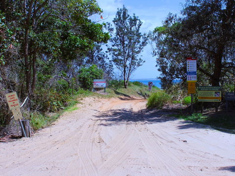 Shark Bay - Accommodation Sydney 2