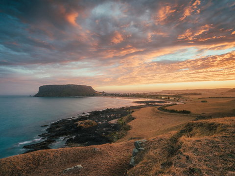 The Nut - Accommodation Sydney 2