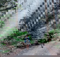 The Corn Trail Walking Track - Accommodation Sydney