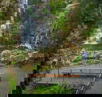 The Falls Walk Budderoo National Park - Sydney Resort