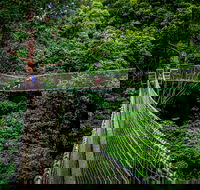 Thunderbird Park  - Tamborine Mountain Gold Coast Region - Sydney 4u