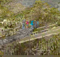 Walpole Wilderness Discovery Centre - Sydney 4u