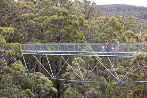 Walpole Wilderness Discovery Centre - Sydney 4u 1