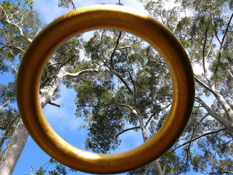 Walpole Wilderness Discovery Centre - Sydney 4u 2