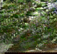 Way Way Creek Road Drive - Accommodation Sydney