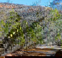 Weddin Gap to Black Spring Loop Trail - Accommodation Sydney