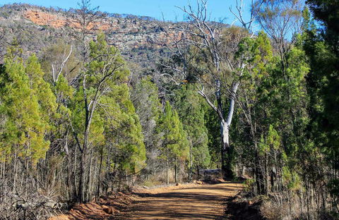 Weddin Gap To Black Spring Loop Trail - Accommodation Sydney 0
