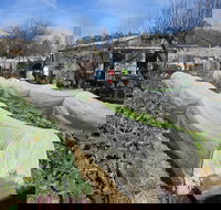 Wynlen House Tour a Unique Urban Regenerative Farm and Market Garden - Accommodation Sydney