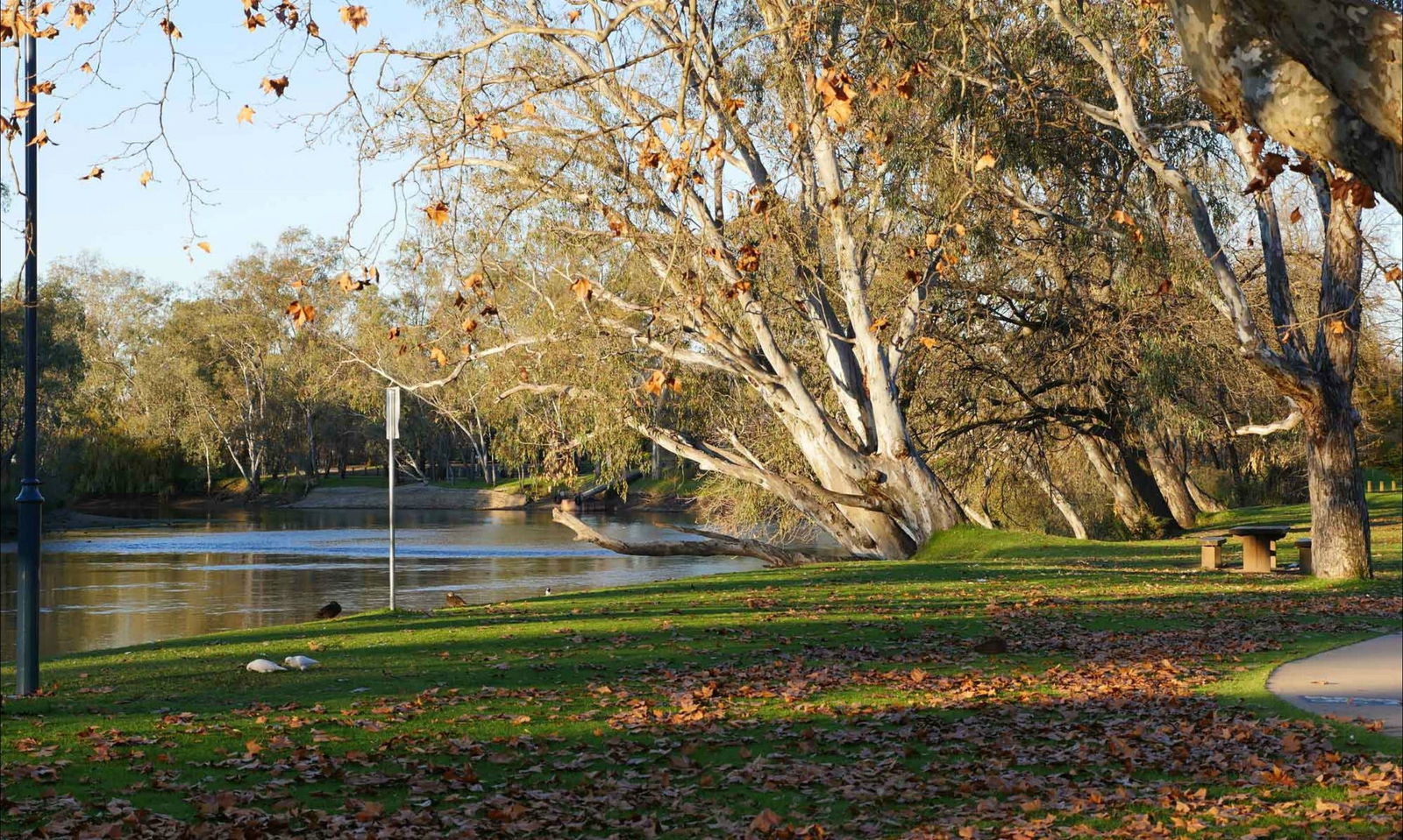 Ournie NSW Sydney 4u