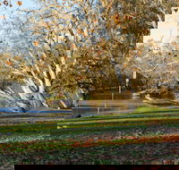 Albury - Sydney 4u