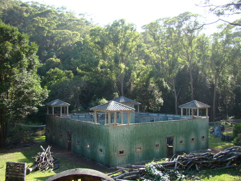 Alpha Paintball - Accommodation Sydney 0