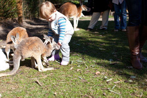 Animals And Family Fun - Accommodation Sydney 1