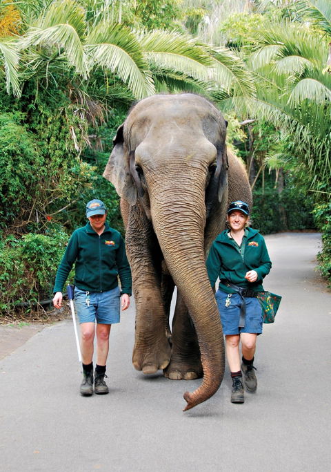 Animals And Family Fun - Accommodation Sydney 2