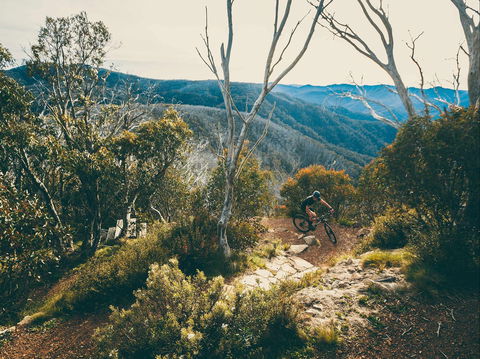 Australian Alpine Epic Mountain Bike Trail - Accommodation Sydney 1