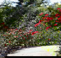 Benalla Botanical Gardens - Sydney 4u