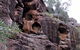 Bertha's Gully Walking Track - thumb 0