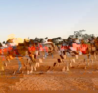Broken Hill Camels - Accommodation Sydney