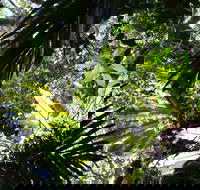 Byrrill Creek Walking Track - Accommodation Sydney