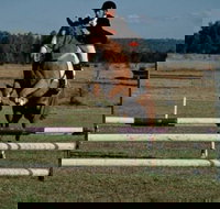 Camden Bicentennial Equestrian Park - Accommodation Sydney