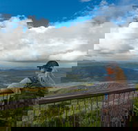 Cathu State Forest - Accommodation Sydney