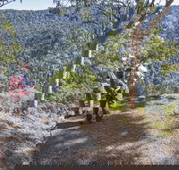 Caves circuit Lamington National Park - Accommodation Sydney
