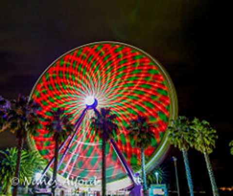 Giant Ferris Wheel - Hello Hi Lite Amusements - Accommodation Sydney 1