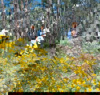 Gidgegannup - Sydney 4u
