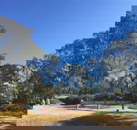 Grenfell Endemic Garden - Accommodation Sydney