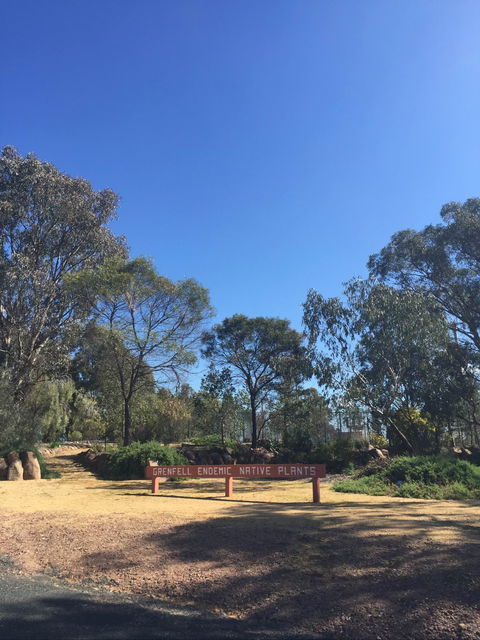 Grenfell Endemic Garden - Accommodation Sydney 0
