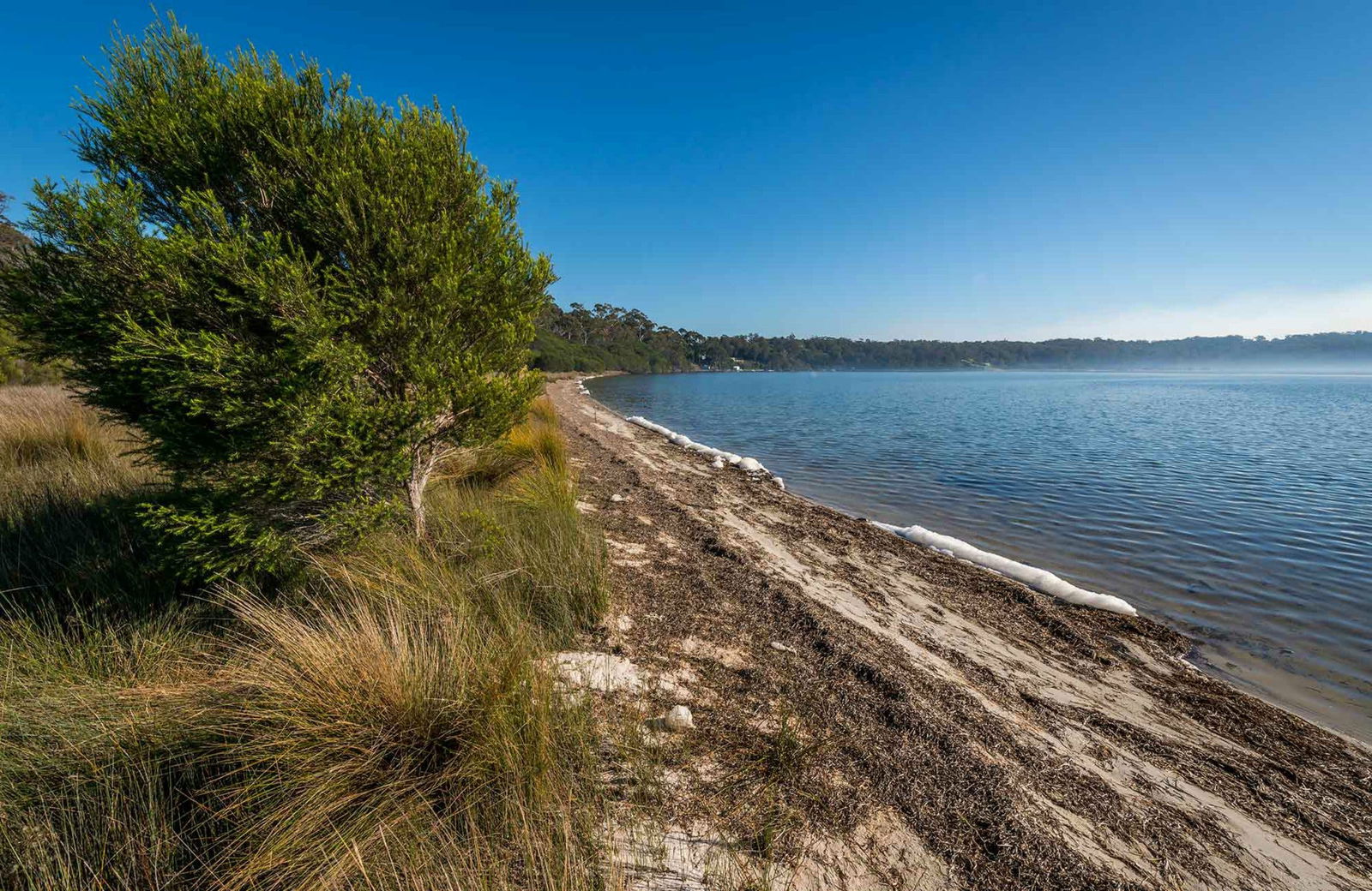 Wonboyn NSW Sydney 4u