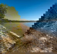 Jewfish Walk - Sydney 4u