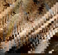 Jillabenan Cave - Accommodation Sydney