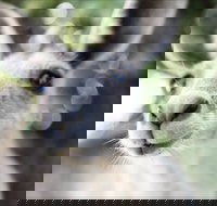 John Egan Pioneer Track - Sydney Resort