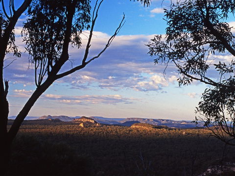 Ka Ka Mundi, Carnarvon National Park - Accommodation Sydney 0