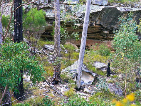 Ka Ka Mundi, Carnarvon National Park - Accommodation Sydney 1