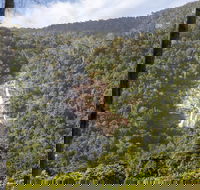 Kearneys Falls - Accommodation Sydney