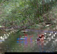 Kerewong State Forest - Sydney Resort