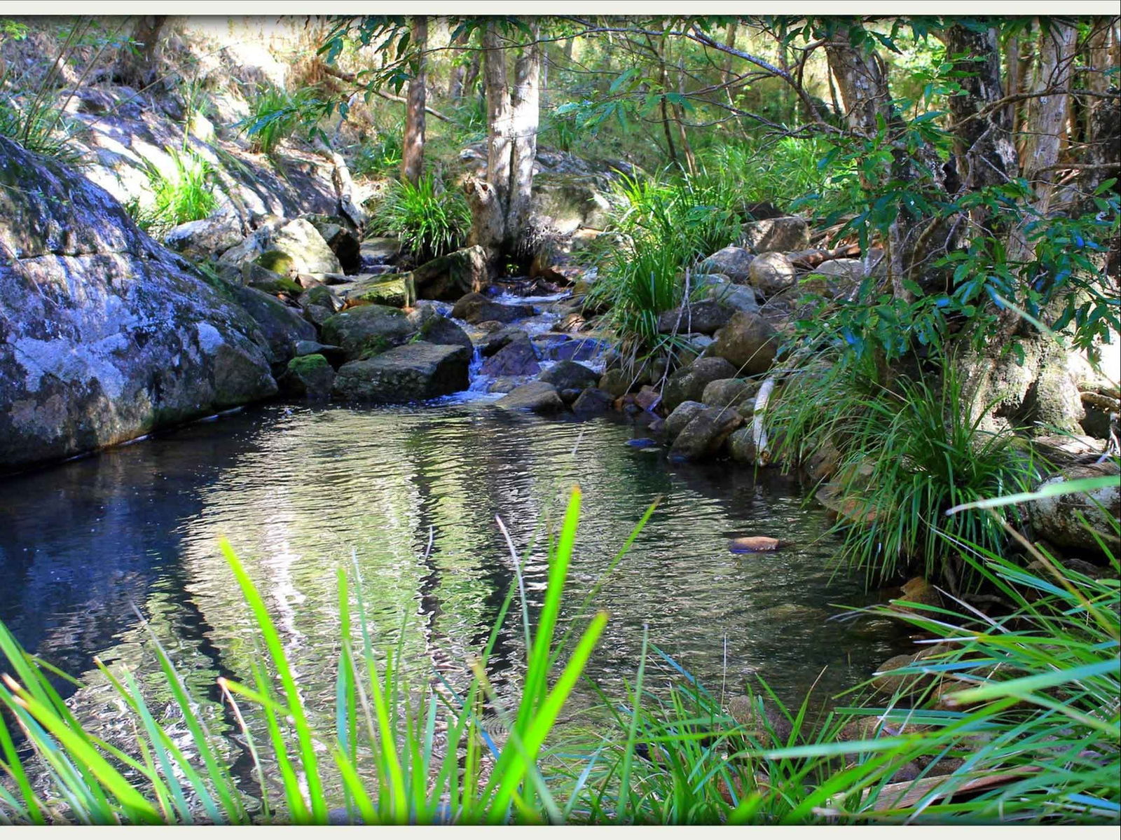 Kin Kin QLD Sydney 4u